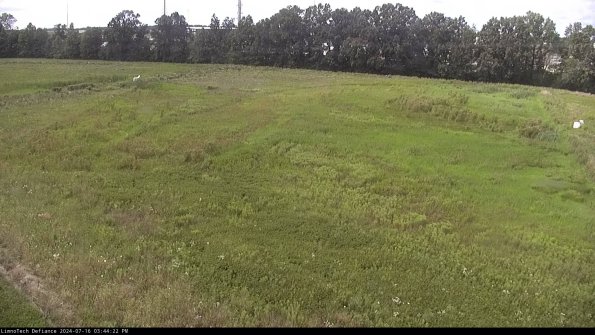 Cell 3_24-07-16_15-44-23-34