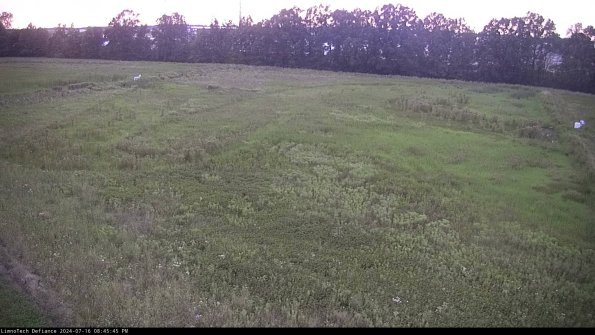 Cell 3_24-07-16_20-45-46-35