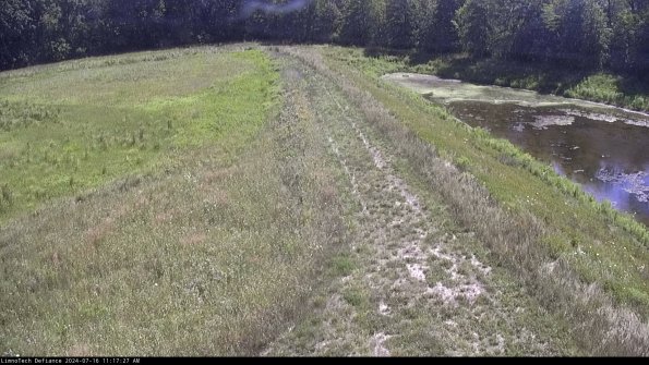 Cell 4 to Basin_24-07-16_11-17-28-34