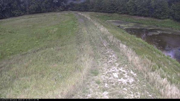 Cell 4 to Basin_24-07-16_15-11-52-34