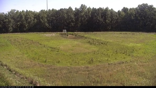 Cell 4_24-07-16_10-43-29-36