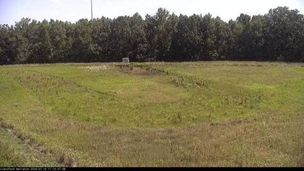 Cell 4_24-07-16_11-16-58-31