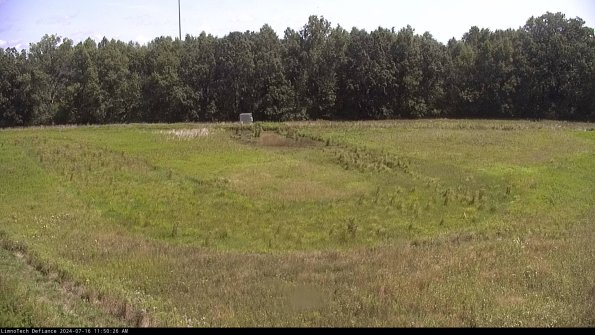 Cell 4_24-07-16_11-50-27-33