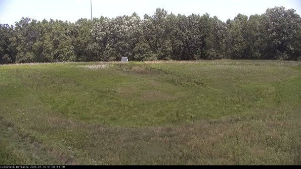 Cell 4_24-07-16_13-30-54-32