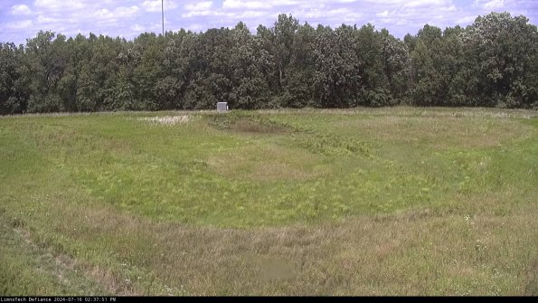 Cell 4_24-07-16_14-37-52-33