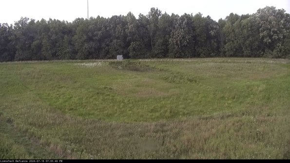 Cell 4_24-07-16_19-05-47-31