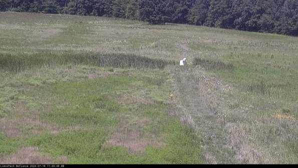 Cell 1 to 2_24-07-18_11-49-49-34