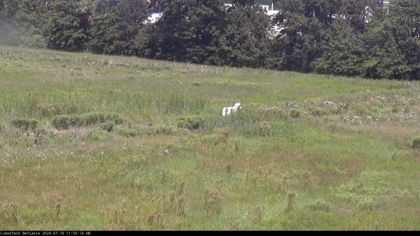 Cell 2 to 3_24-07-18_11-50-15-37