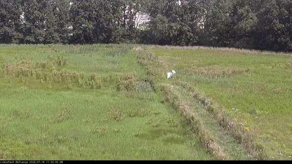 Cell 3 to 4_24-07-18_11-50-44-33