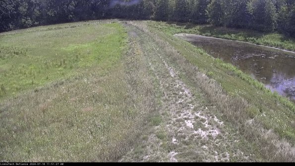 Cell 4 to Basin_24-07-18_11-51-28-31