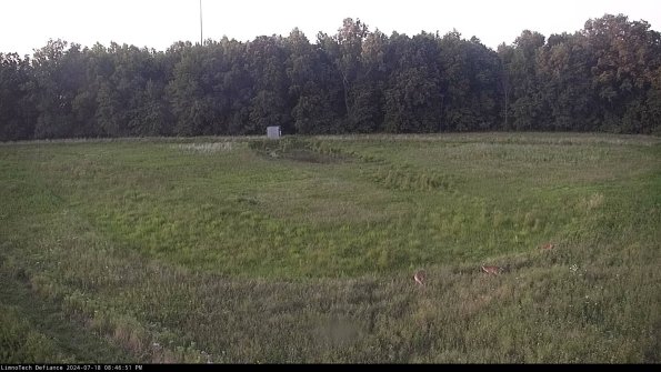 Cell 4_24-07-18_20-46-52-34