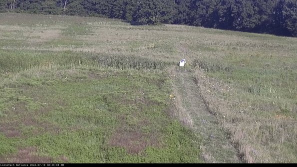 Cell 1 to 2_24-07-19_08-29-09-34