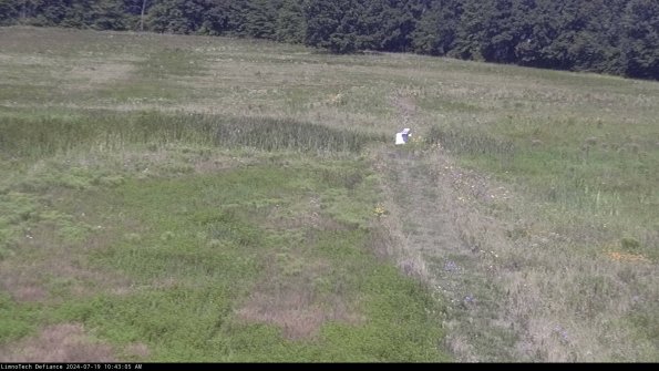 Cell 1 to 2_24-07-19_10-43-06-36