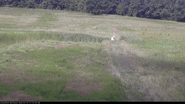 Cell 1 to 2_24-07-19_11-16-36-35