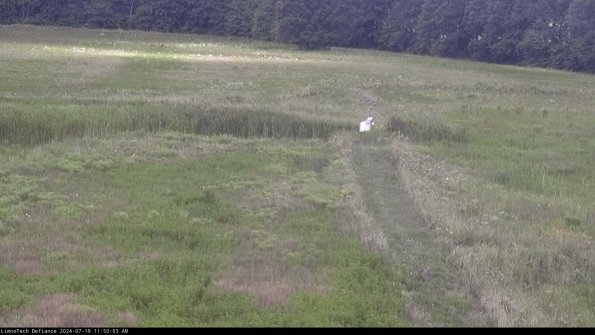 Cell 1 to 2_24-07-19_11-50-04-33