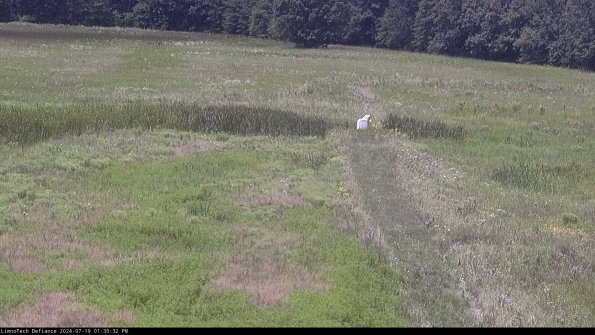 Cell 1 to 2_24-07-19_13-30-33-32