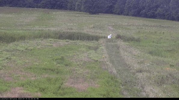 Cell 1 to 2_24-07-19_14-04-03-31