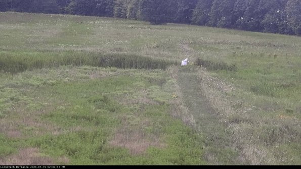 Cell 1 to 2_24-07-19_14-37-32-33