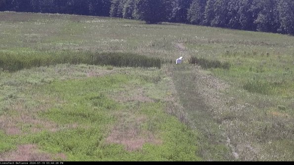 Cell 1 to 2_24-07-19_15-44-29-33