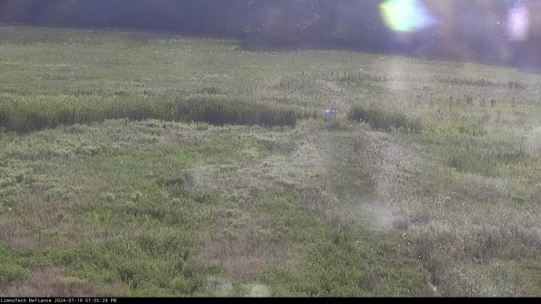 Cell 1 to 2_24-07-19_19-05-27-31