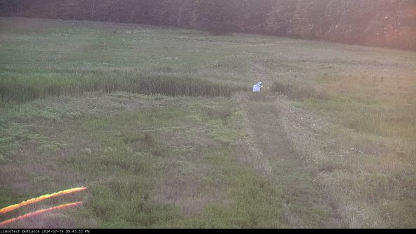 Cell 1 to 2_24-07-19_20-45-54-34