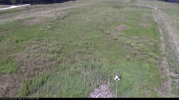 Cell 1_24-07-19_10-09-22-32