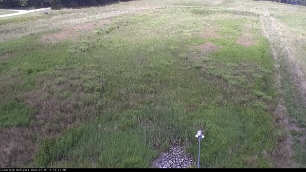 Cell 1_24-07-19_11-16-22-33