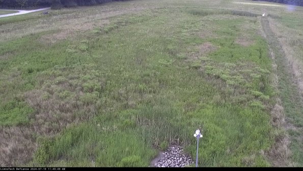 Cell 1_24-07-19_11-49-50-32