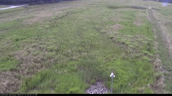 Cell 1_24-07-19_14-37-18-35