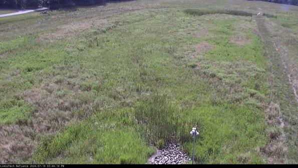 Cell 1_24-07-19_15-44-15-32