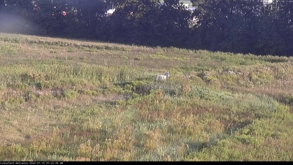 Cell 2 to 3_24-07-19_07-22-36-53