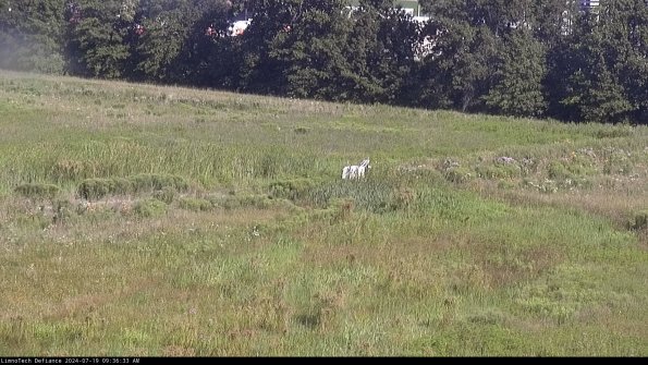 Cell 2 to 3_24-07-19_09-36-34-38