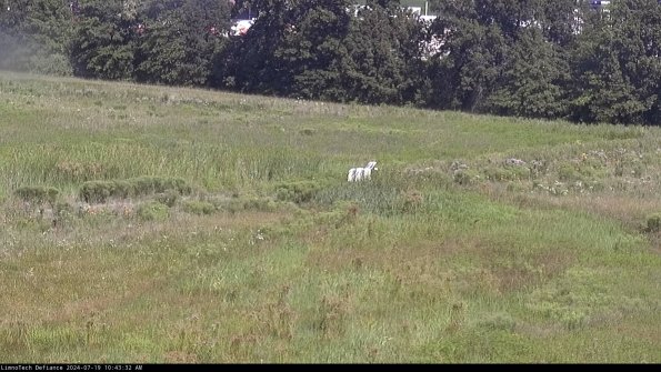 Cell 2 to 3_24-07-19_10-43-32-55