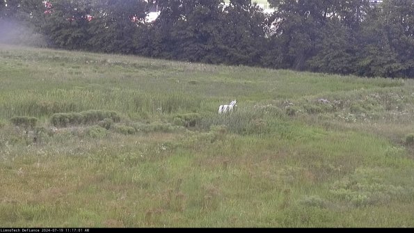 Cell 2 to 3_24-07-19_11-17-02-34