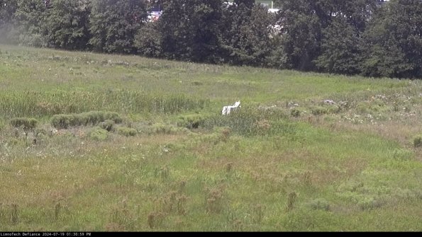 Cell 2 to 3_24-07-19_13-30-59-58