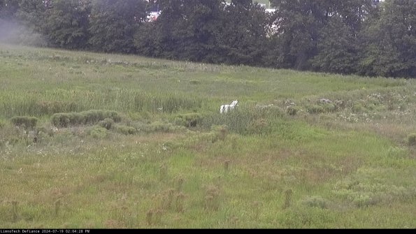 Cell 2 to 3_24-07-19_14-04-29-44