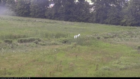 Cell 2 to 3_24-07-19_14-37-58-52