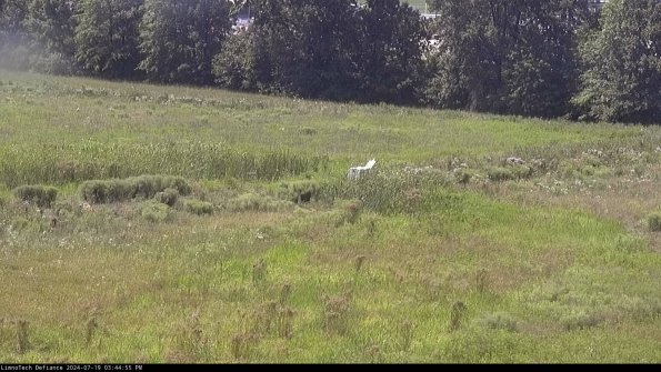 Cell 2 to 3_24-07-19_15-44-55-49