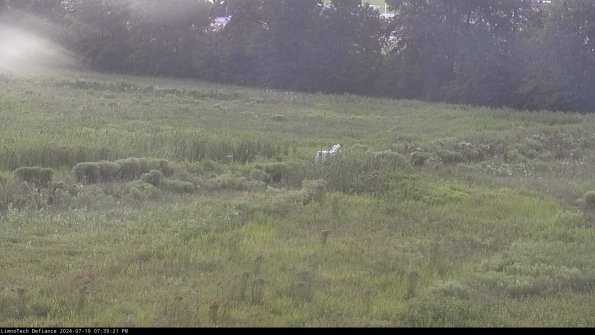 Cell 2 to 3_24-07-19_19-39-21-49