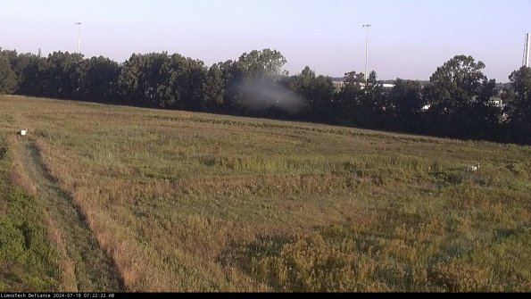 Cell 2_24-07-19_07-22-23-38