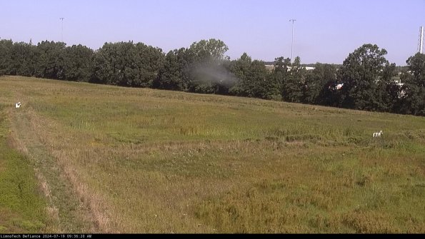 Cell 2_24-07-19_09-36-21-40