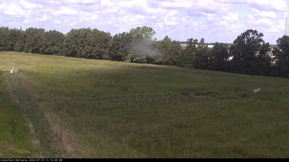 Cell 2_24-07-19_11-16-49-36