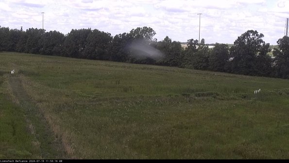 Cell 2_24-07-19_11-50-17-34