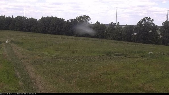 Cell 2_24-07-19_14-04-16-36