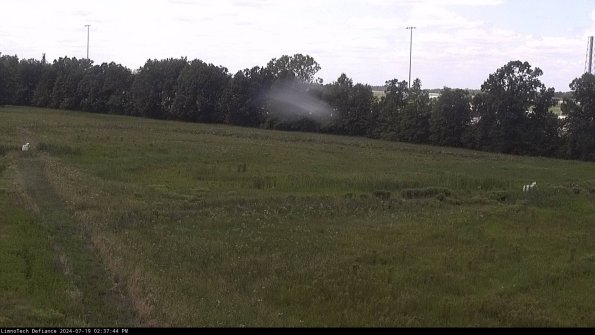 Cell 2_24-07-19_14-37-45-44