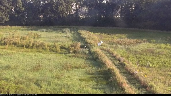 Cell 3 to 4_24-07-19_07-56-35-34