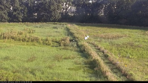 Cell 3 to 4_24-07-19_08-30-04-33