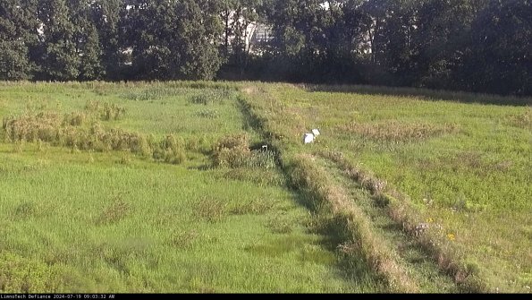 Cell 3 to 4_24-07-19_09-03-33-32