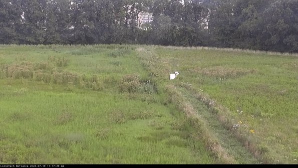 Cell 3 to 4_24-07-19_11-17-30-33