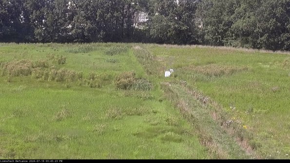 Cell 3 to 4_24-07-19_15-45-24-32